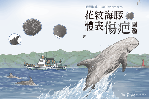 玉子日記繪製之花紋海豚傷疤圖鑑。 圖／黑潮海洋文教基金會提供