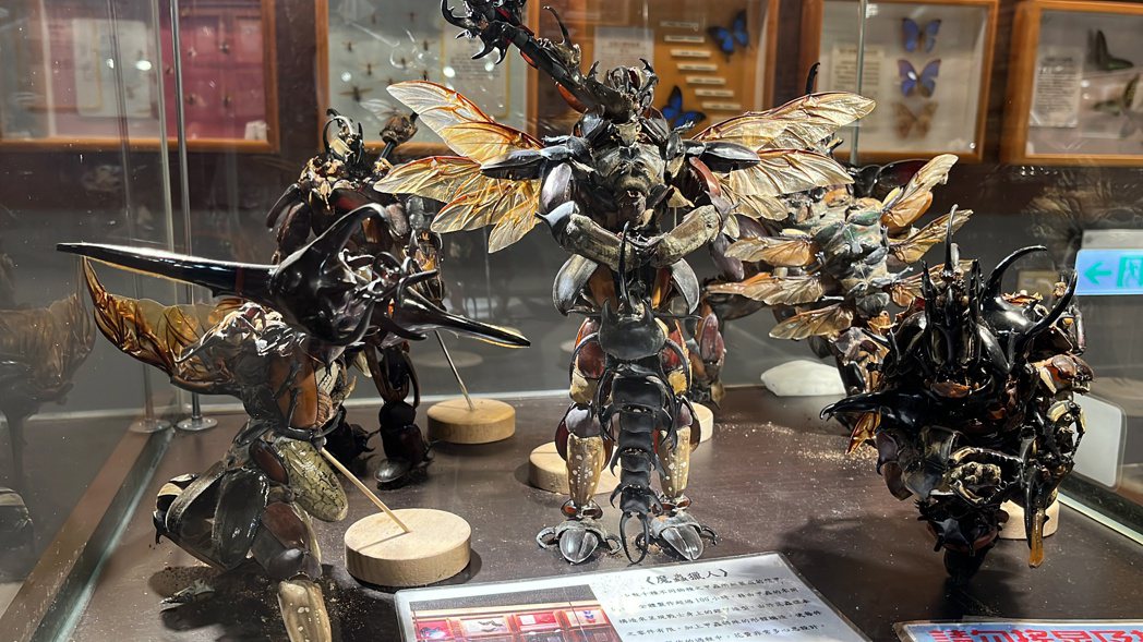 嘉義大學昆蟲館展示廳裡有座由全部由甲蟲「零件」組裝而成的5個鎧甲戰士「魔蟲獵人」...