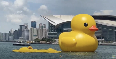 「黃色小鴨」相隔10年重返香港維多利雅港展出，不料才半天，就有一隻小鴨疑似「氣爆」洩氣。（擷取自香港藝人李婉華YouTube）