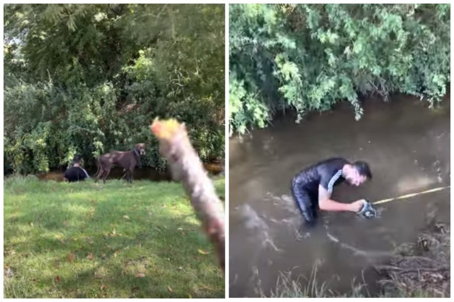 女子把木頭丟到河裡讓狗狗去撿，卻無意間害男友整個人摔到水中。圖取自YouTube