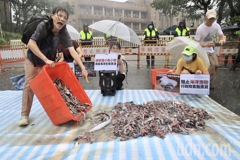台灣動物社會研究會下午在行政院大門口前舉行記者會，倒出「下雜魚」。呼籲政府重視拖網漁業「大小通吃」與「無差別」捕撈、嚴重破壞海洋生態、危害生物多樣性、加速生物資源枯竭的問題。記者林伯東／攝影