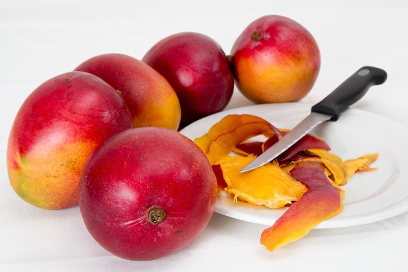 吃芒果的季節到了，你家都吃哪一種芒果？ 圖／pixabay