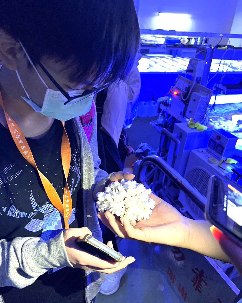 屏東海生館一群研究員默默投入珊瑚研究復育，同時結合海洋生物醫學，有傲人的人工復育珊瑚技術和「珊瑚農場」、產學技術轉移成果。圖／海生館提供
