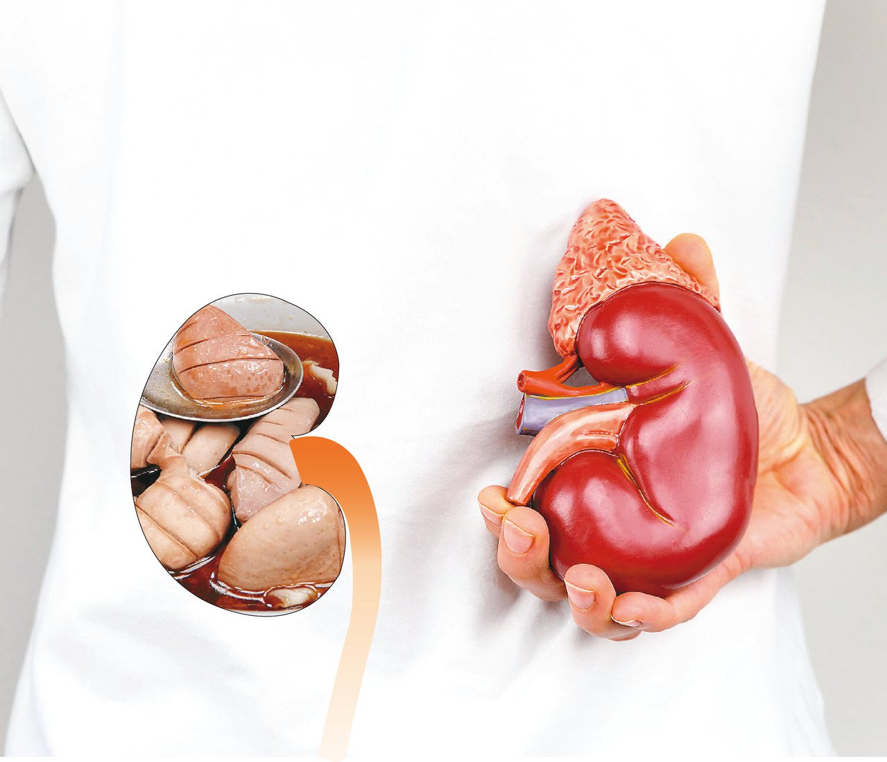 洗腎病人以吃腰子補腎反而傷腎，元氣網整理洗腎病人的6大飲食原則。圖片來源：123RF