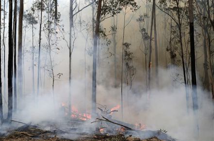 圖為2020年澳洲波達拉野火情形。圖／美聯社