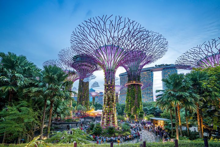 新加坡濱海灣花園以科技融合生態展現耳目一新容貌。　圖：喜鴻假期／提供