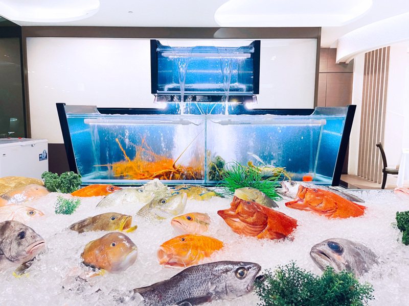 阿利海鮮Ali Seafood提供超過上百種的海鮮選擇。圖／敦謙國際提供