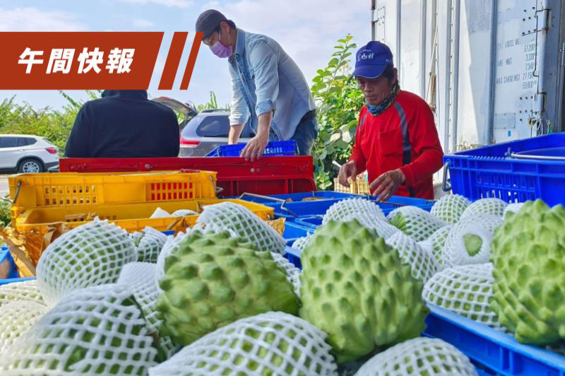 中國大陸國台辦今天宣布，重啟台灣鳳梨釋迦銷陸市場。圖／聯合報系資料照片