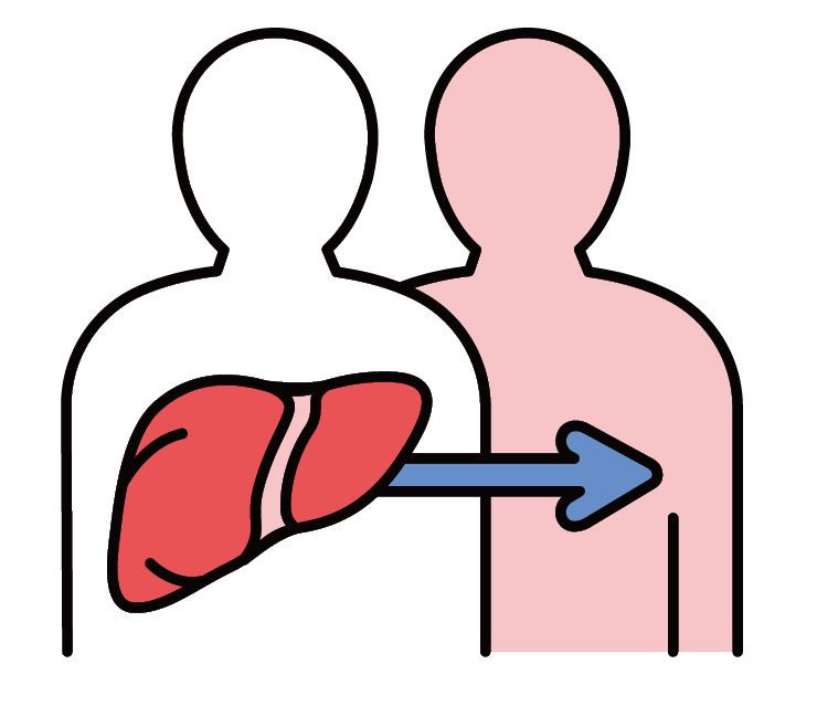 肝臟移植為大手術，過程複雜，捐贈者、受贈者兩台刀必須無縫接軌，完美接續。圖/123RF