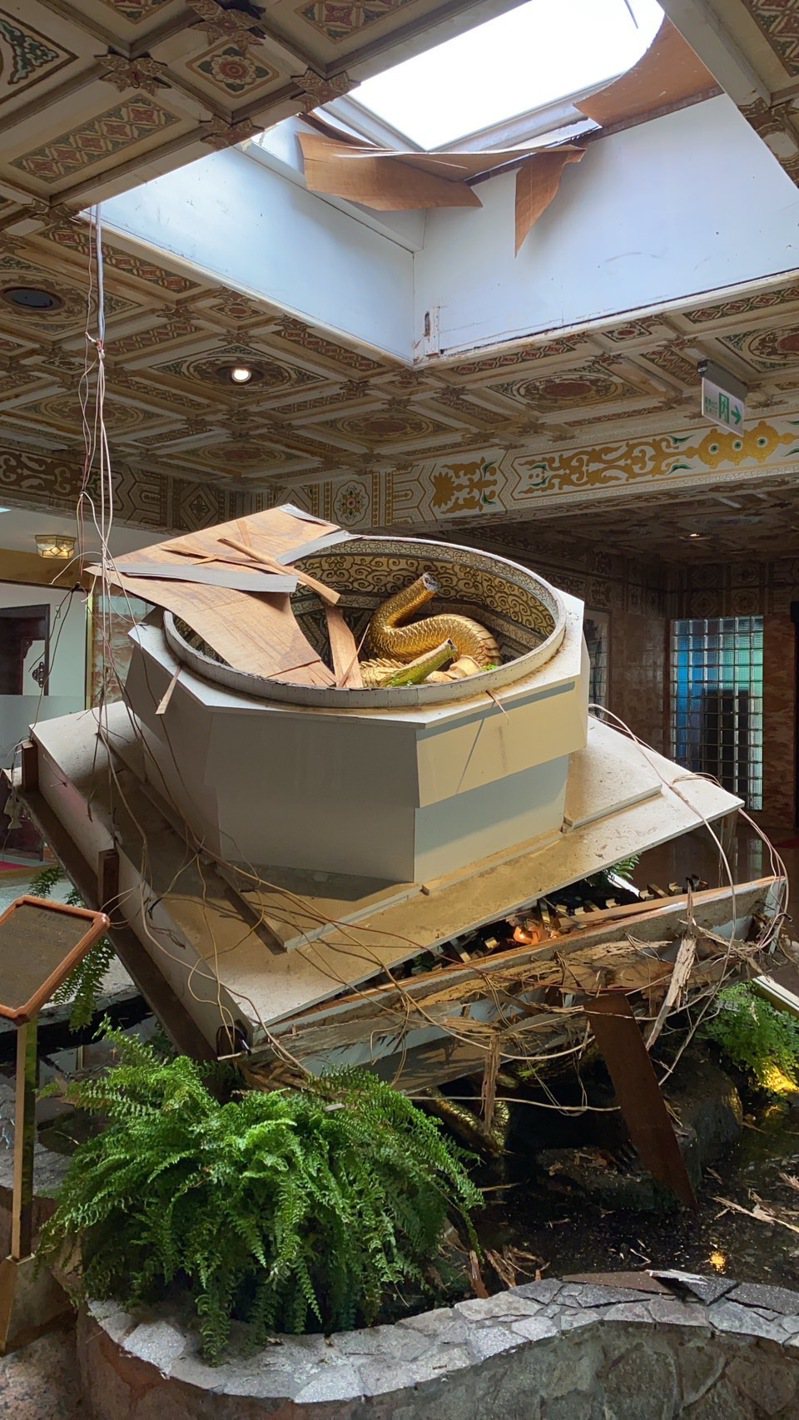 圓山飯店天井掉落砸損百年金龍。圖／讀者提供