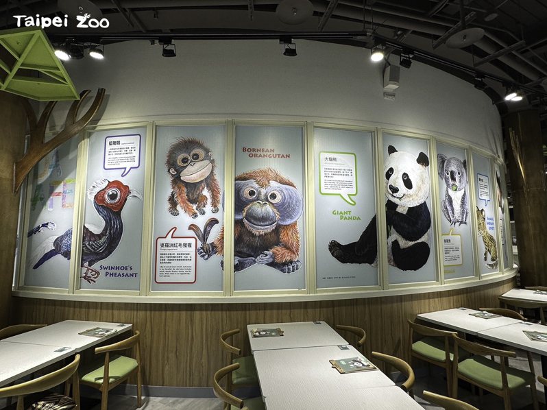 園方邀請知名生態畫家黃一峯為餐廳環境布置特色，繪製Q萌的台灣動物插畫、輔以物種介紹為背景。圖／台北市立動物園提供