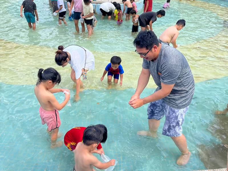關山鎮公所在7月1日至8月13日推出戲水消暑活動，泥鰍被放養在人工水池的方式引來批評。圖／取自關山公所臉書