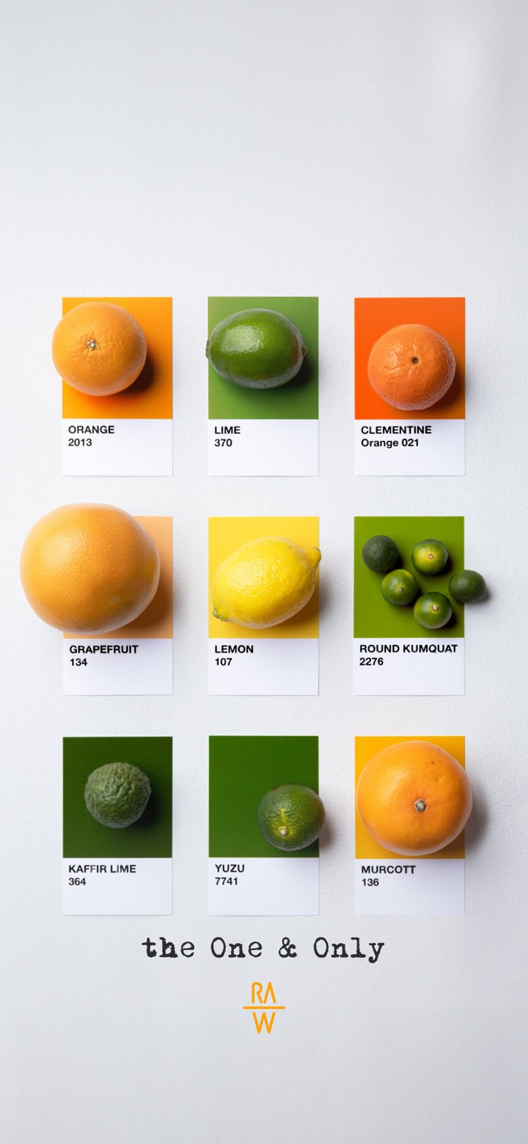 江振誠將食材做成夏季大自然的Pantone 色票，將同類食材、不同品種一次亮相。圖／RAW提供。
