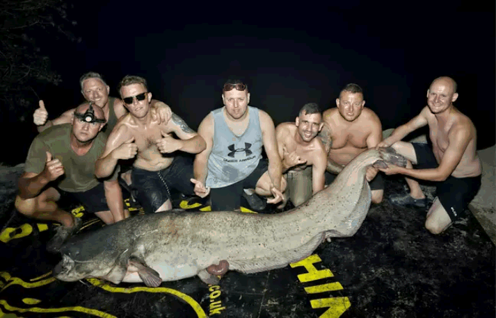 男子幸運釣到破百公斤，長達2.5公尺的大鯰魚。圖擷自LAD BIBLE