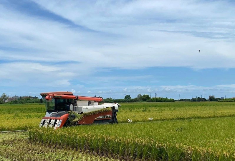 嘉義二期稻作是否供灌，7月7日農水署將在7月7日行政院跨部會議上決定，是否供灌。圖／立委蔡易餘辦公室團隊提供