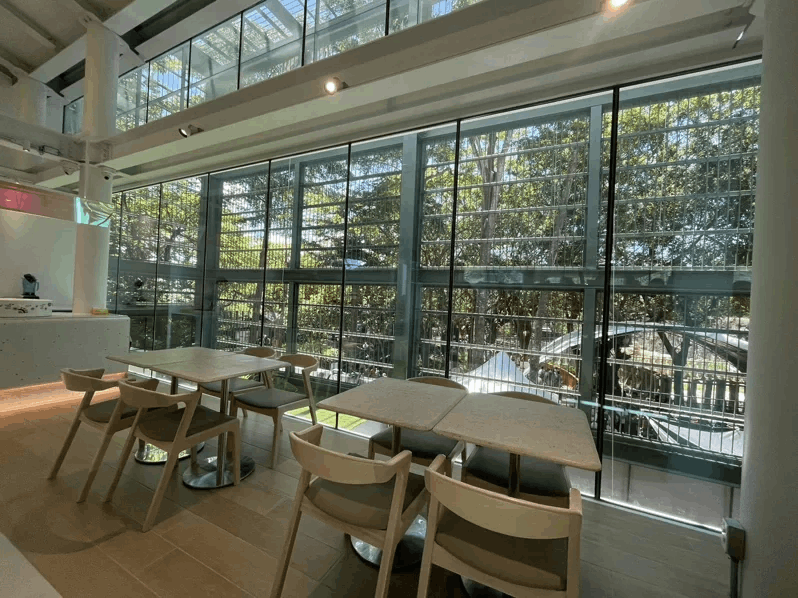 高雄壽山動物園將昔日黑猩猩的鐵籠家，轉化成「光室咖啡」空間，藉由身處座位區人的視...
