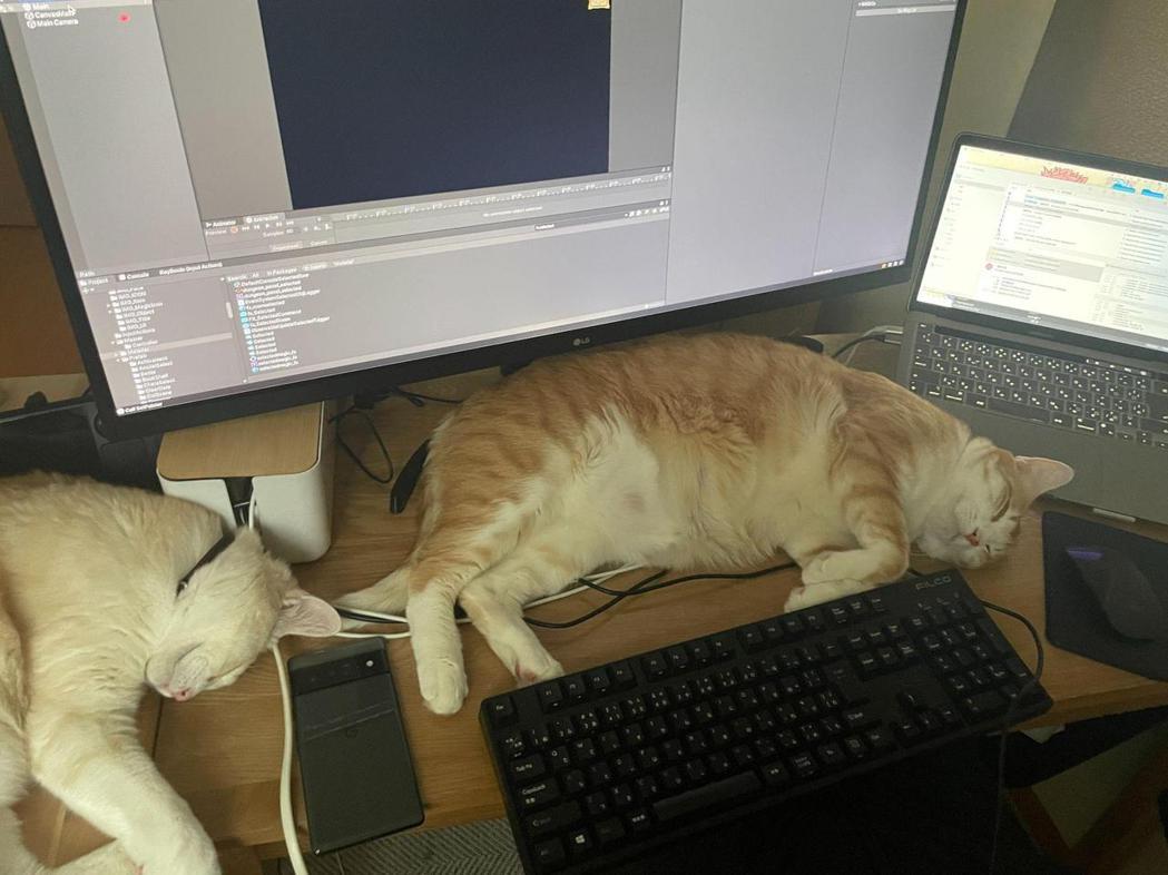 Gino先生在開發遊戲時的創作環境中，有二隻貓陪伴。 圖／SHUEISHA GA...