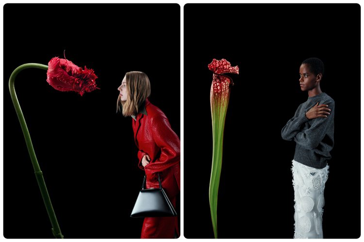 Prada發表2023秋冬女裝與男裝形象廣告，透過五位演員與花朵的直面對立，展現出隱喻的詩意。圖／翻攝自 IG @ Prada（合成圖）