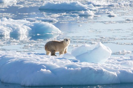 氣候變遷正導致北極圈融冰，而且融冰的速度是全球其他地方的兩倍。(路透)