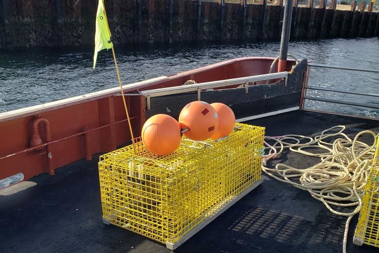 NOAA Fisheries（國家海洋漁業署）進行無繩龍蝦籠的測試計畫。 圖片來...
