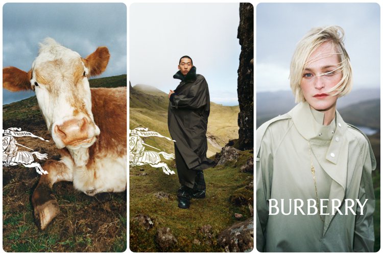 Burberry發表2023冬季形象廣告，除了取景原始地景，更有可愛牛牛成超萌時...