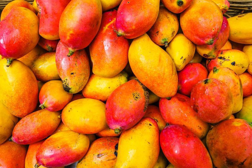 針對「芒果有濕毒」傳聞，農糧署指出，這也是迷思，芒果果肉並沒有毒性，只是表皮上含...