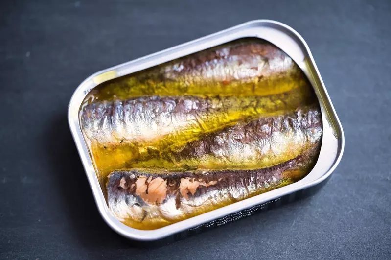 沙丁魚罐頭。Image by Sylvain NAUDIN from Pixabay
