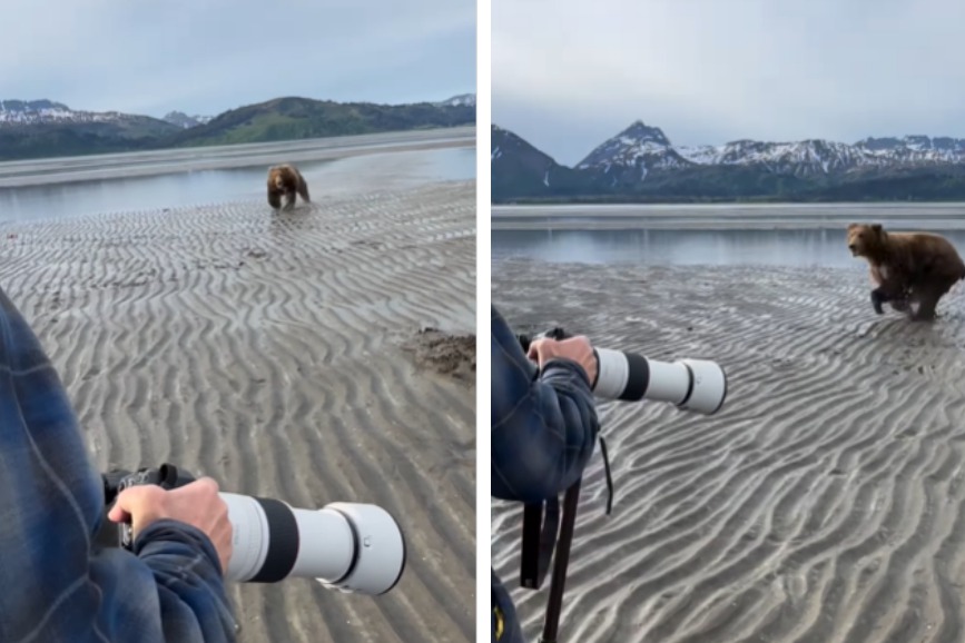最近一段影片在網路上瘋傳，一隻棕熊在河岸邊追殺遊客，經驗老到的導遊竟要求全部的遊客都吼回去，棕熊沒料到人類竟然會出這招，嚇到馬上變孬逃跑。 (圖/取自影片)