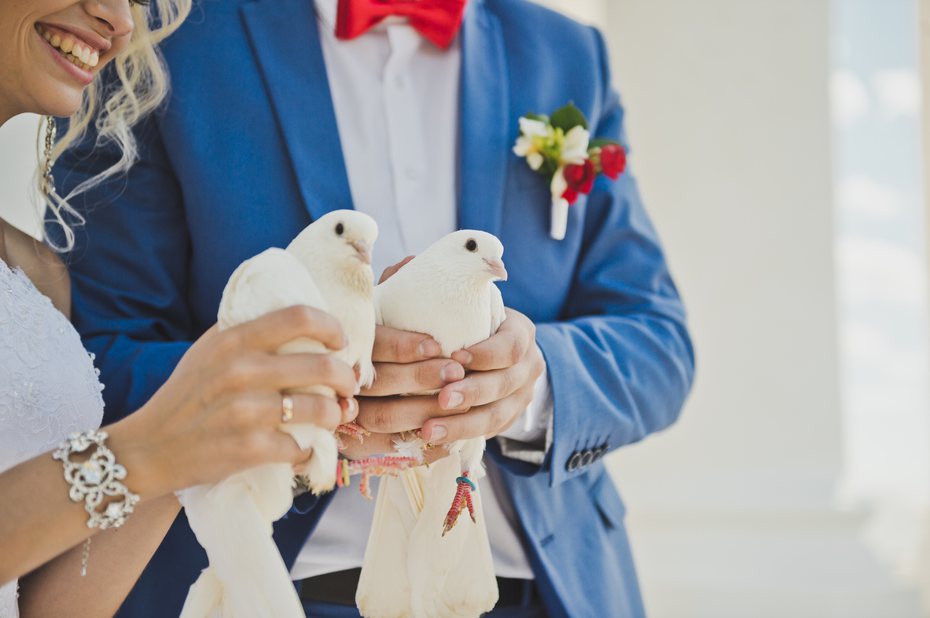 外國一名媽媽買了50隻白鴿，想幫女兒的婚禮製造浪漫氣氛，不料白鴿卻不受控制，更破壞現場環境。示意圖／ingimage