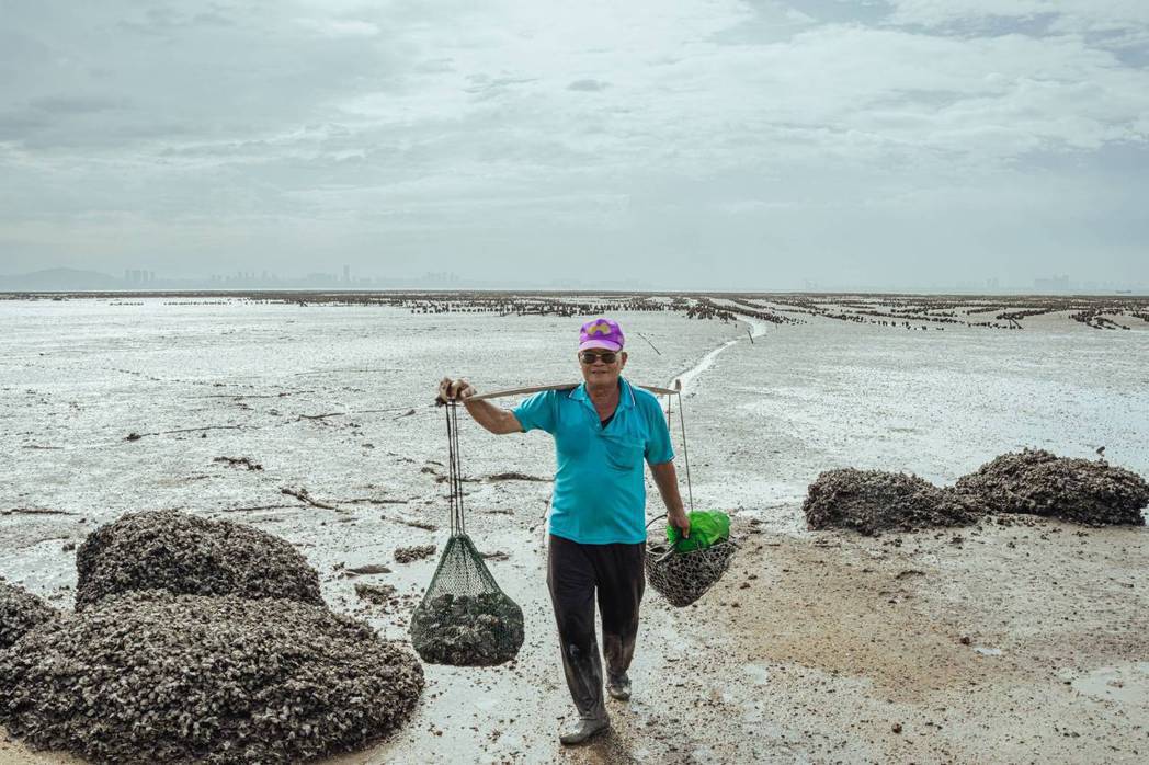 金門獨有的石蚵養殖，透過參與體驗創造新的感受。 圖／甘樂文創提供
