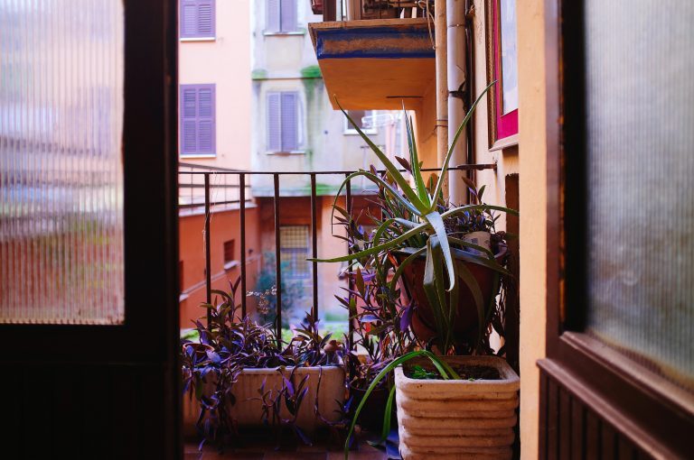 陽台不僅是休閒放鬆的好地方，還可以成為你種植綠色植物的小天地。 圖／Unspla...
