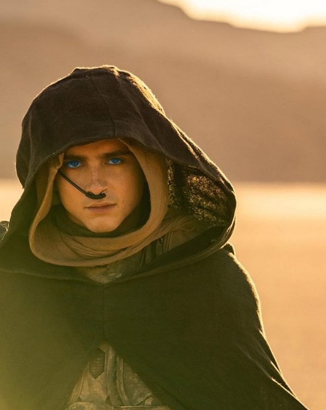 「沙丘：第二部」被傳出恐延到明年上映的風聲。圖／摘自imdb