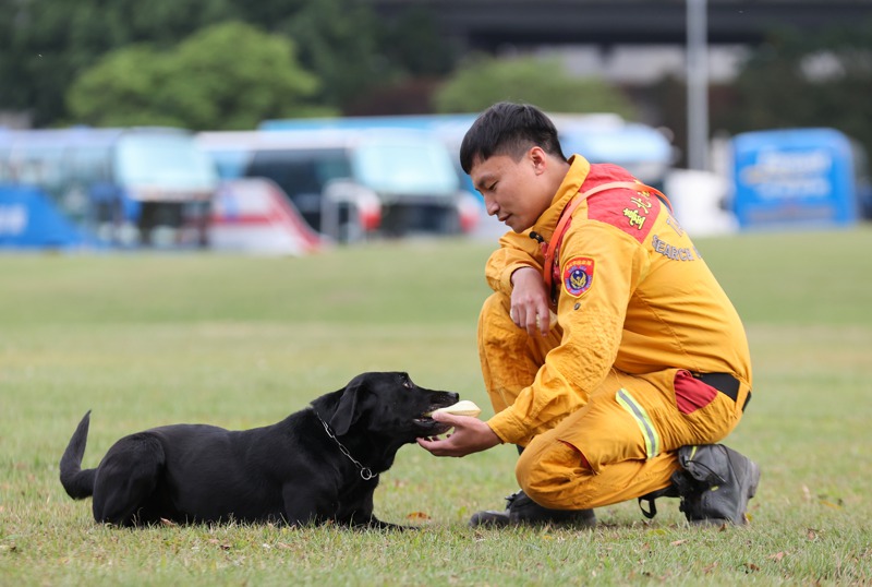 台北市搜救犬Hugo與領犬員葉秉叡關係親如家人，支援土耳其救災回台後還順利通過考試成為高級搜救犬。記者余承翰／攝影
