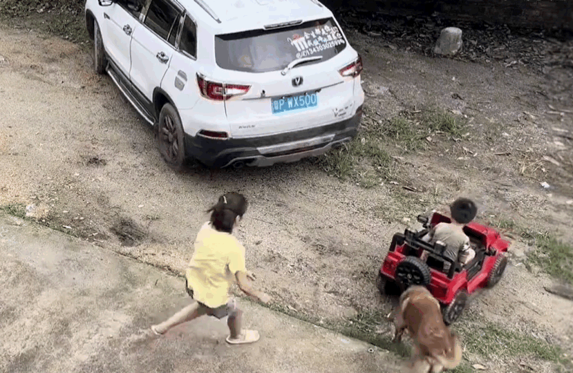 駕駛倒車沒有意識到後方有人，狗狗在最後關頭拖走小孩。圖擷自微博