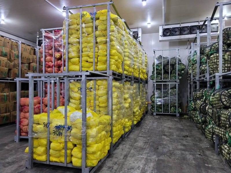 因應颱風季，桃園果菜公司建置蔬菜冷藏滾動式倉儲，目前冷藏設施內備有95公噸耐儲藏蔬菜，將視市場蔬菜供需情形，滾動式調整釋出。圖／桃園市農業局提供