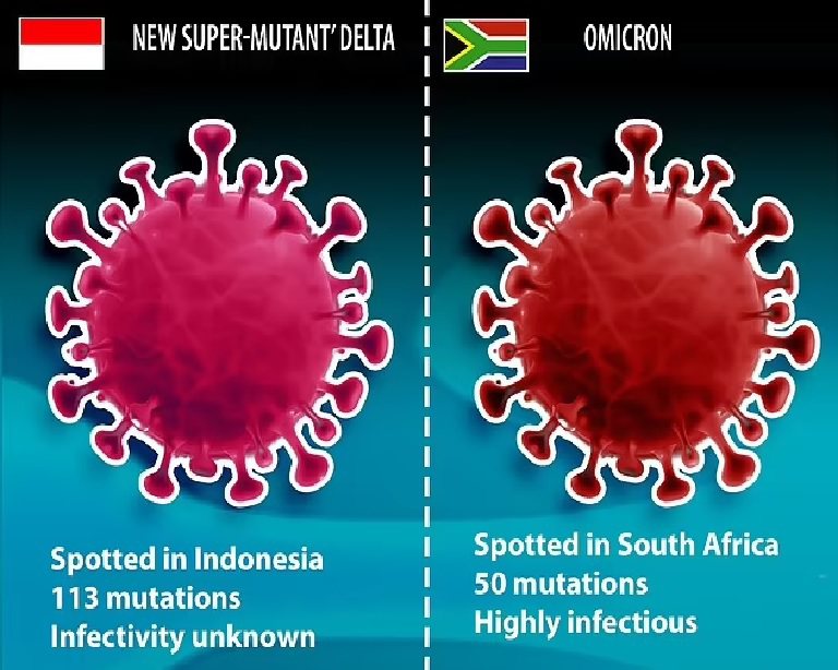 圖右為採集自南非的Omicron、左為採自印尼的「超突變新Delta」示意圖。圖／擷自英國每日郵報網頁