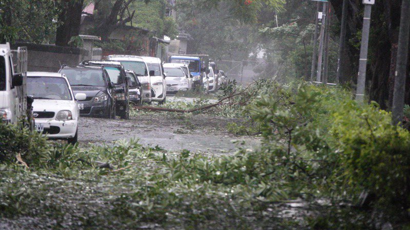 杜蘇芮颱風過境，高市約800處路樹倒塌，但遭砸毀的車輛，不適用國賠法相關法規，恐難以申請國賠。記者劉學聖／攝影