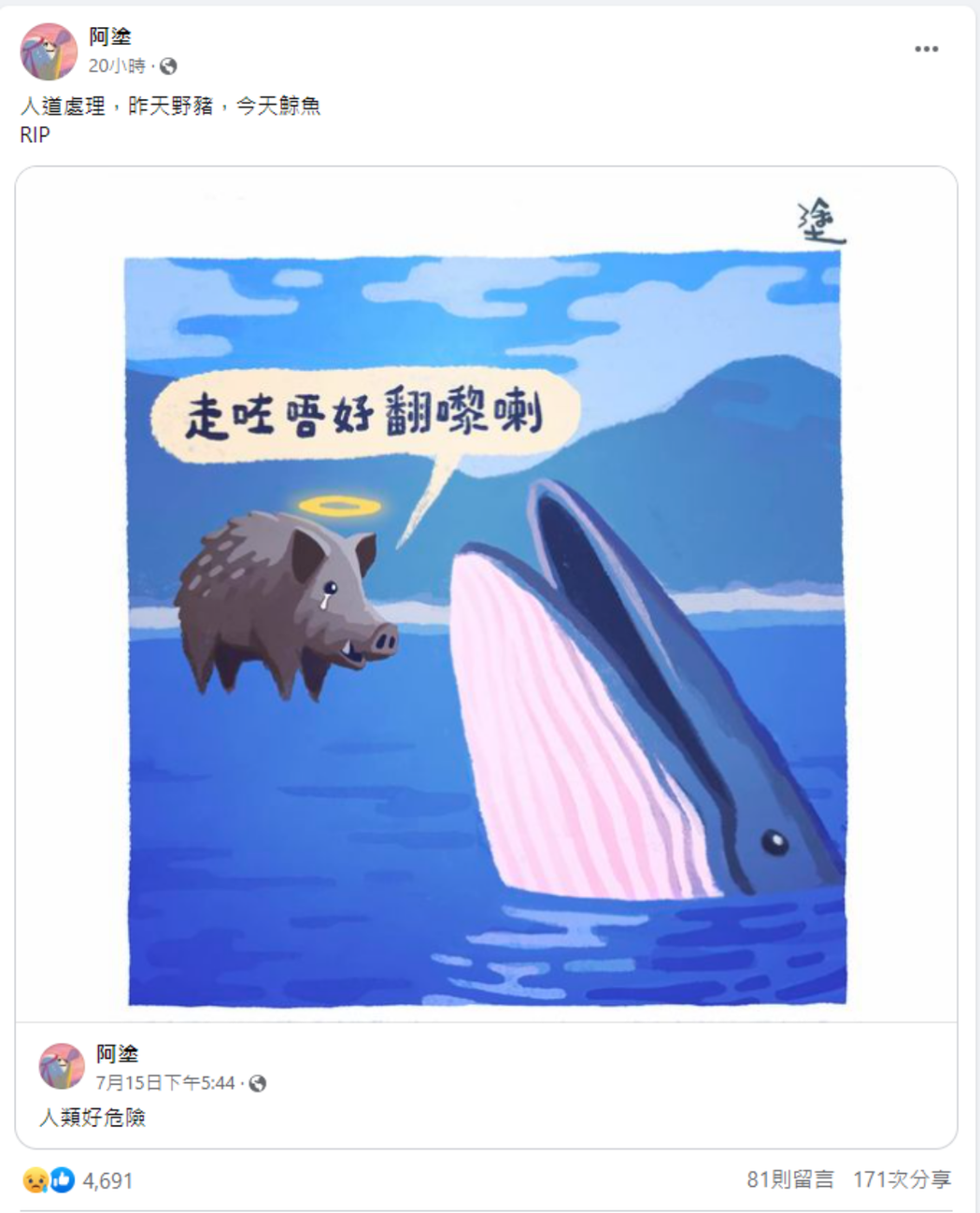 香港插畫家阿塗亦在Facebook上傳一張野豬與鯨魚的插畫哀悼該條布氏鯨，畫中的...