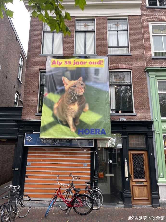 荷蘭一名貓奴掛布條歡慶愛貓35歲，各地網友紛紛獻上祝福。圖擷自微博