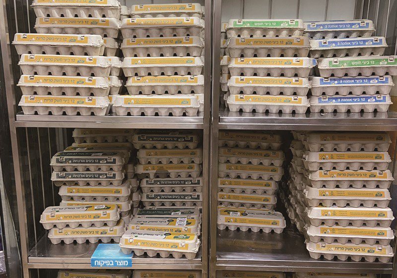 以色列超市販售的雞蛋依盒子顏色分為黃色的普通雞蛋、淺綠色的散養雞蛋、墨綠色的有機雞蛋，以及藍色的Omega-3強化雞蛋。（中央社賴素芬）