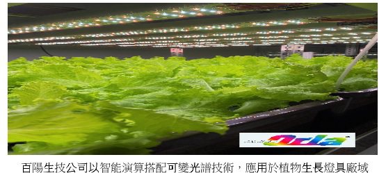 百陽生技公司以智能演算搭配可變光譜技術，應用於植物生長燈具廠域。（百陽生技/提供）