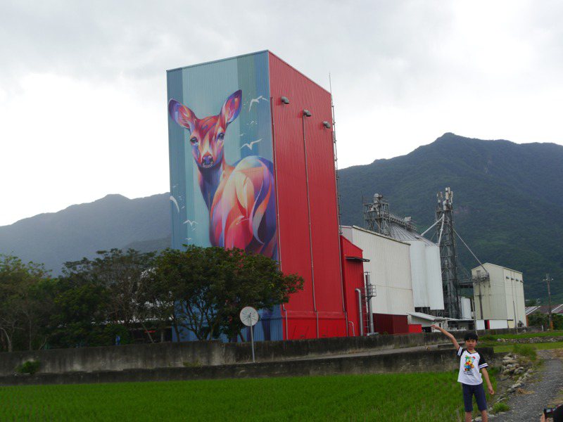 台東關山農會碾米廠紅外牆出現一隻五彩迷濛鹿，吸引許多遊客專程來「找鹿」。記者徐白櫻／攝影