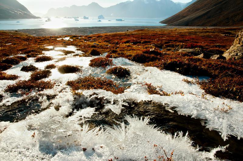 人類引發的全球暖化導致永凍土融化，給了蚯蚓立足之地。牠們還能引發微生物活動，釋放儲存在永凍土中的二氧化碳、甲烷與氮氣等強力溫室氣體。（圖／路透）y