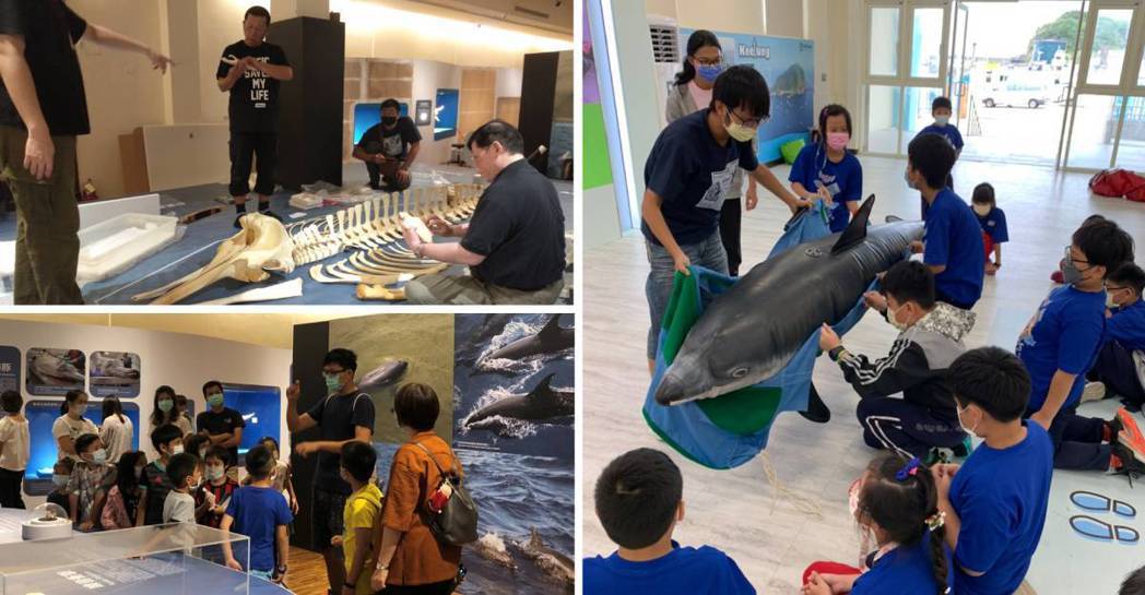 中華鯨豚協會過往就曾透過展覽、課程講座，推廣海洋野生動物保育知識。 圖片來源：中...