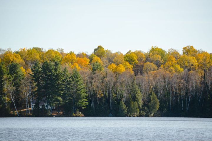 ▲阿岡昆省立公園是加拿大極為知名的賞楓景點。　圖：Destination Canada ∕ Kevin Arnold／提供