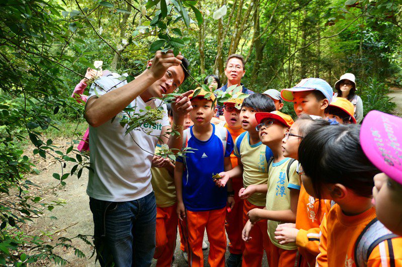 自然谷是學童們最佳的野外自然教室。環資協會／提供