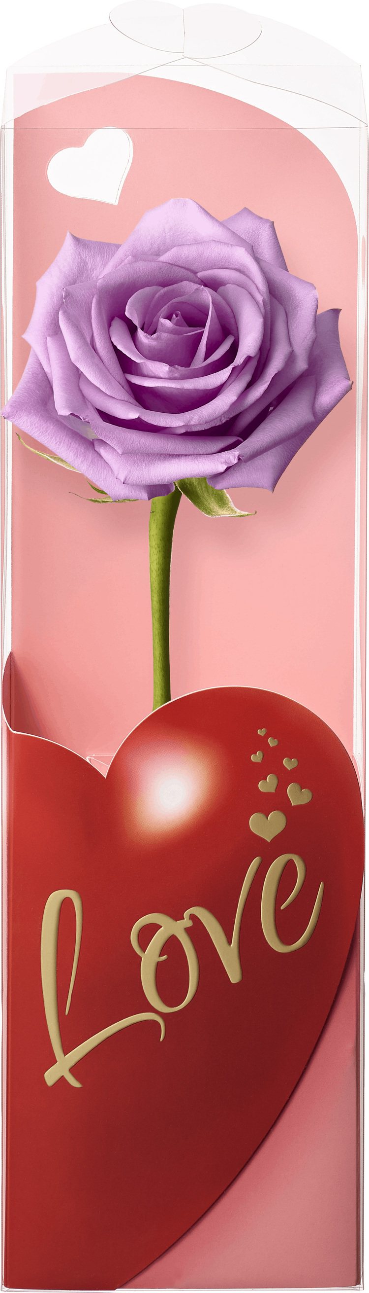 統一集團引進3萬朵「進口空運玫瑰花」，更首次引代表一生一世守護的紫色玫瑰。圖／統一集團提供