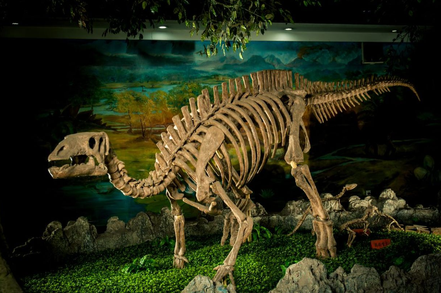 宜州化石館，是遼寧省第一座古生物化石博物館。圖／本報遼寧錦州傳真