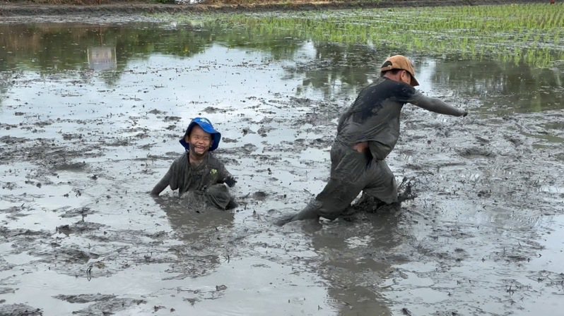 有的小朋友插秧後弄得滿身泥，索性在水田裡玩起打泥仗，在泥水中爬來滾去樂翻天。記者蔡維斌／攝影