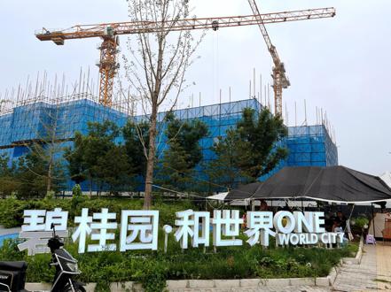 碧桂園財務地雷連環爆，已經引發市場對中國大陸房地產市場的信心危機。 （路透）